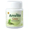 Amrita Giloy Ghanvati (60 Tablets)