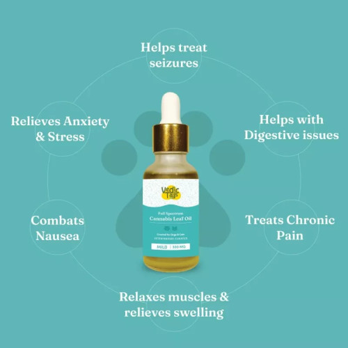 Vedic Tails Full Spectrum Cannabis Leaf Oil (Strong) (30ml)