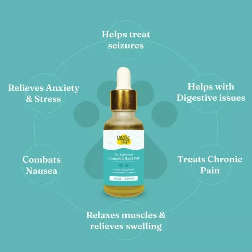 Vedic Tails Full Spectrum Cannabis Leaf Oil (Strong) (30ml)