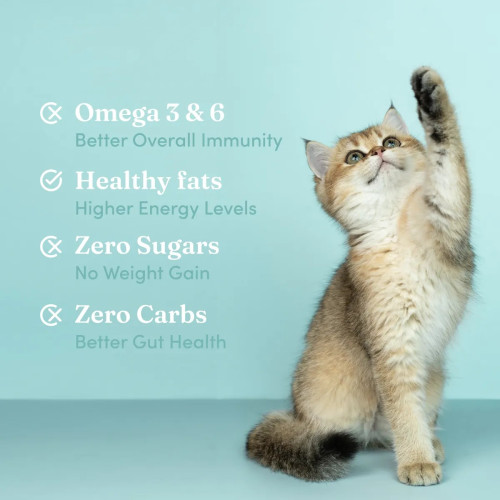 Vedic Tails Full Spectrum Cannabis Leaf Oil (Strong) (30ml)