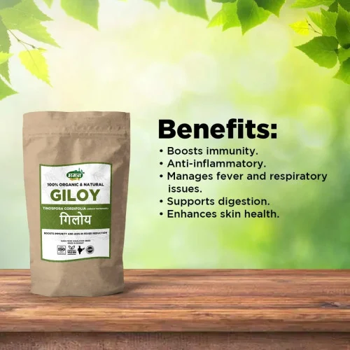 Magan Giloy (100g)