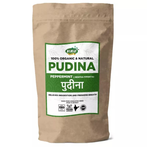 Magan Pudina (100g)
