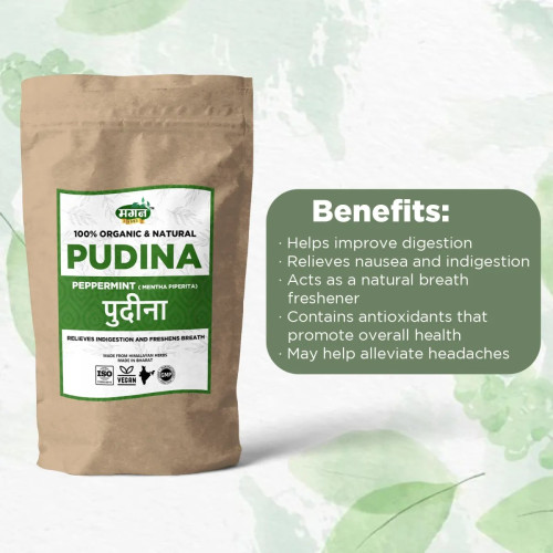 Magan Pudina (100g)