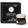 Baidyanath Ayurvedant Pure Himalayan Shilajit (20g)