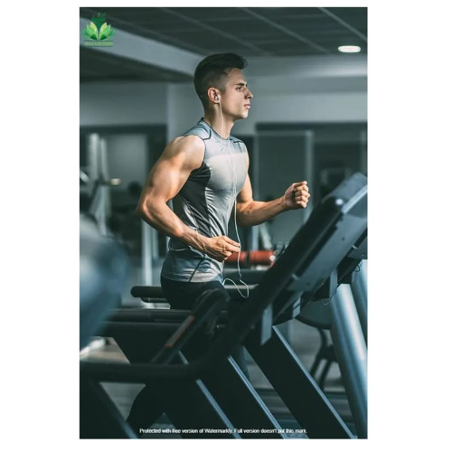 Sai Herbs Arasam Pattai Powder (100g)