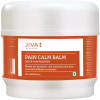 Jiva Ayurveda Pain Calm Balm (25g)