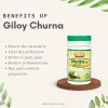 Jaived Giloy Churna (100g)