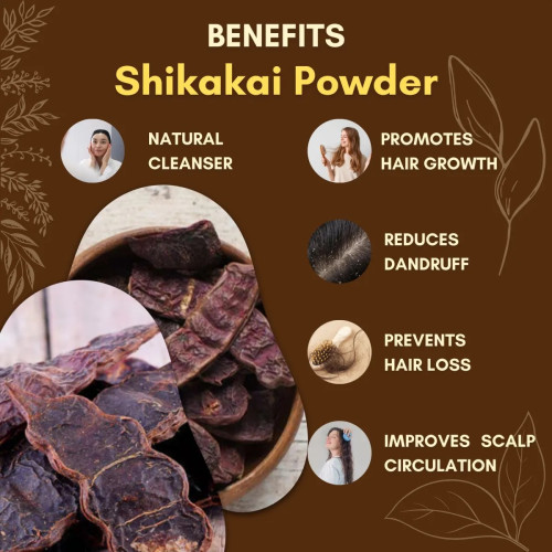 Jaived Shikakai Powder (100g)