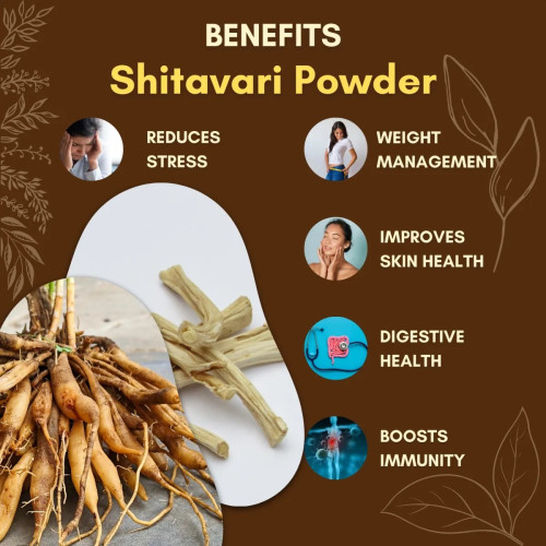 Jaived Shitavari Powder (100g)