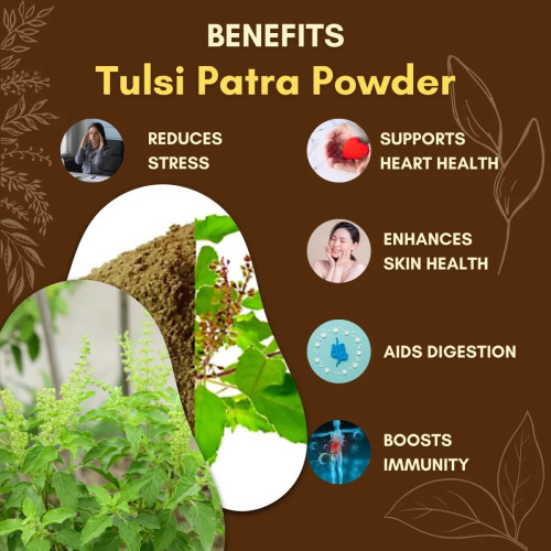 Jaived Tulsi Patra Powder (100g)