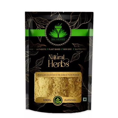 Sai Herbs Phellinus Linteus Mushroom Powder (500g)