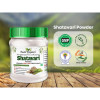 AVG Shatavari Powder (100g)