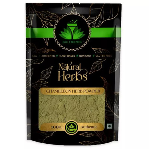 Sai Herbs Chameleon Herb Powder (1000g)