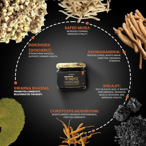 Mushroomex Mushroom Shilajitx Resin Gold With Cordyceps Mushroom (20g)