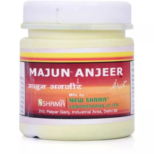 New Shama Majun Anjeer (125g)