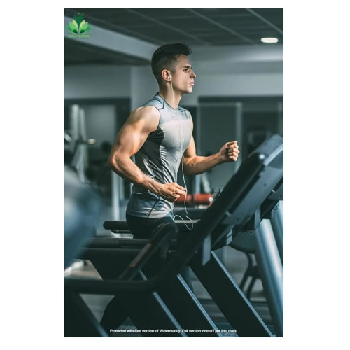 Sai Herbs Forskolin Powder (100g)