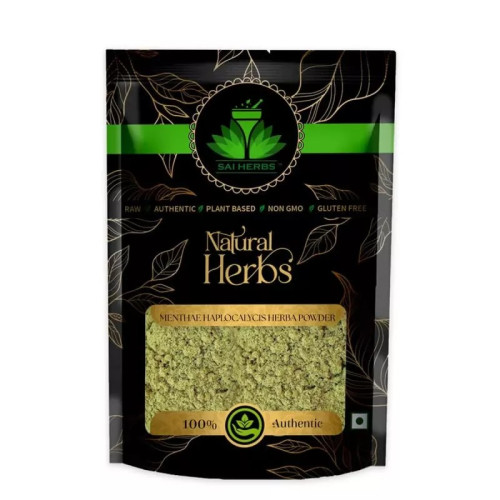 Sai Herbs Menthae Haplocalycis Herba Powder (500g)