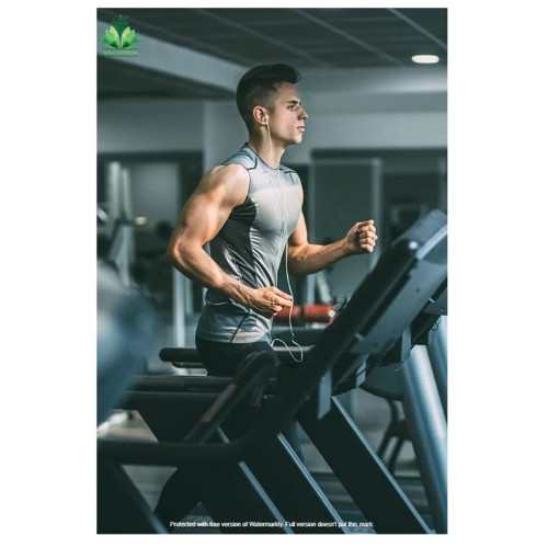 Sai Herbs Pueraria Mirifica Powder (100g)