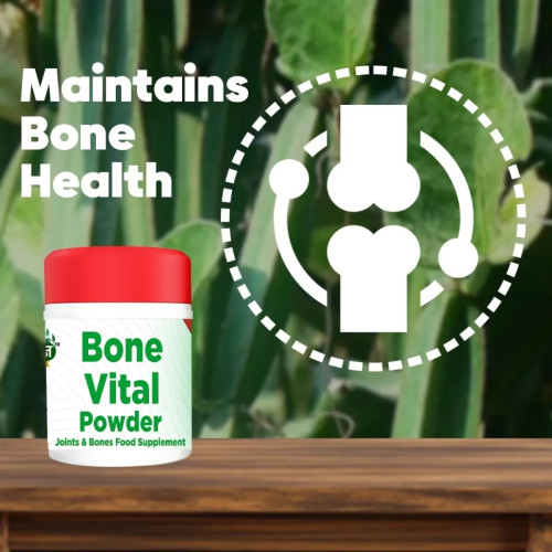 Magan Bone Vital (100g)