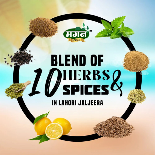 Magan Lahori Jaljeera Masala (200g)