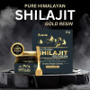 Sushain Shilajit Gold Resin (20g)