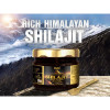 AVG Himalayan Shilajit Resin (20g)