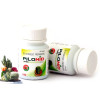 NID Pilonid  Tablet (100 Tablets)