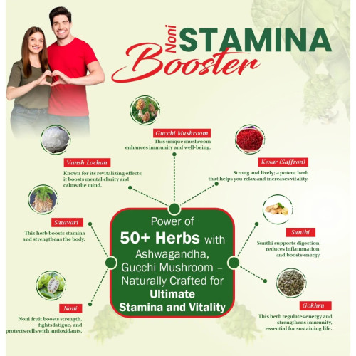 The Dave's Noni Stamina Booster (Sugar-Free) (250g)