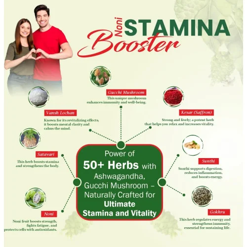 The Dave's Noni Stamina Booster (Sugar-Free) (250g)