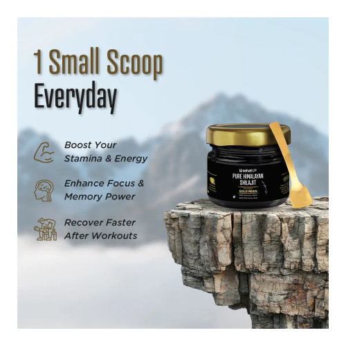 SehatUP Pure Himalayan Shilajit Gold Resin (20g)