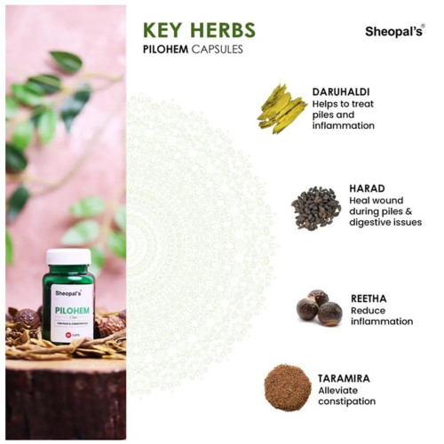 Sheopals Diabdex + Pilohem  Capsules + Pilohem Oil (30Cap + 60Cap +30ml) (1Pack)
