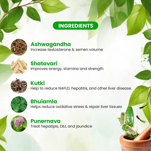 Sheopals Liver X Factor + Herb 69 Vibe Booster  Capsules (Each 60Cap) (1Pack)