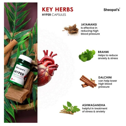 Sheopals Hyper + Pilohem  Capsules + Pilohem Oil (Each 60Cap +30ml) (1Pack)