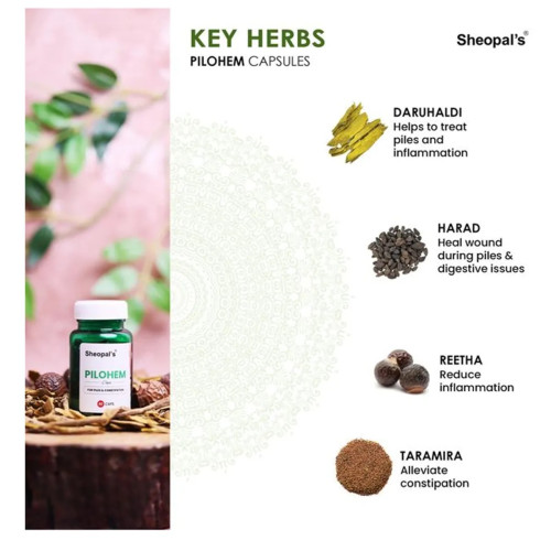 Sheopals Thyrobic + Pilohem  Capsules + Pilohem Oil (Each 60Cap +30ml) (1Pack)