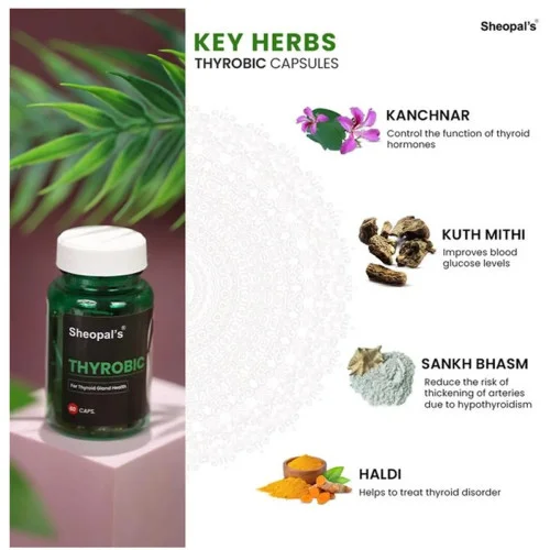 Sheopals Thyrobic + Herb 69 Vibe Booster  Capsules (Each 60Cap) (1Pack)