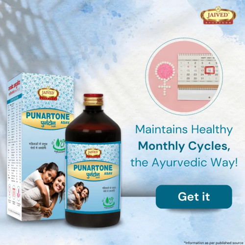 Jaived Punartone Asav (400ml)