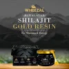 Wheezal Himalayan Shilajit Gold Resin (20g)