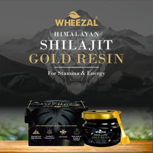 Wheezal Himalayan Shilajit Gold Resin (20g)