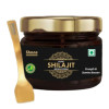 Shane Pure Shilajit Resin Form (20g)
