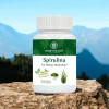 Herbs Wealth Spirulina  Capsules (60cap)