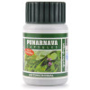 Dehlvi Punarnava  Capsules (60 Capsules)