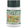 Dehlvi Satawar  Capsules (60 Capsules)