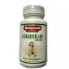 Baidyanath Gokshuradi Guggulu (40 Tablets)