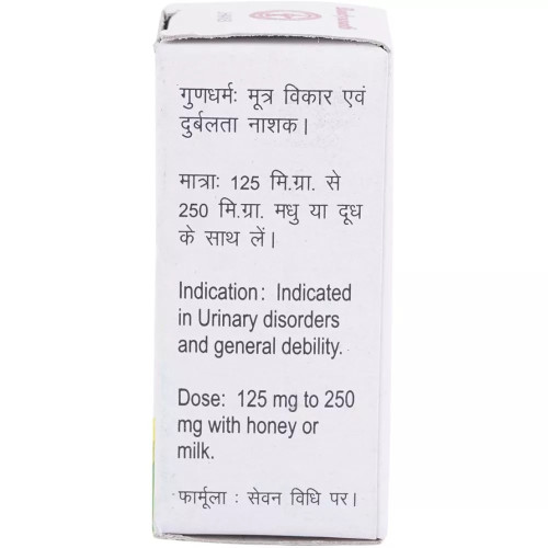 Baidyanath Vanga Bhasma (5g)