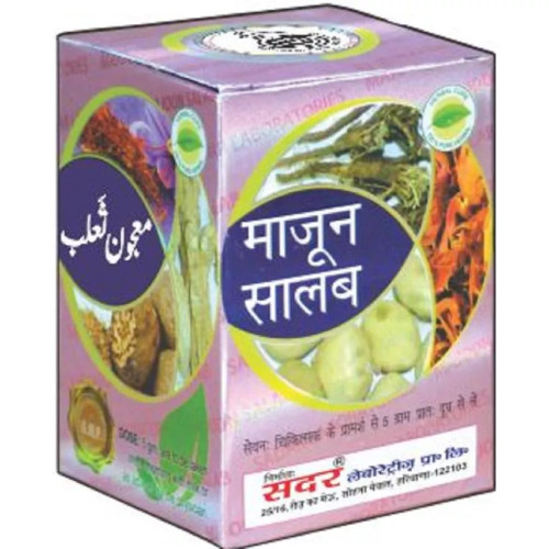 Sadar Dawakhana Majoon Salab (250g)