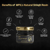 Mpil Natural Shilajit Resin Form (20g)