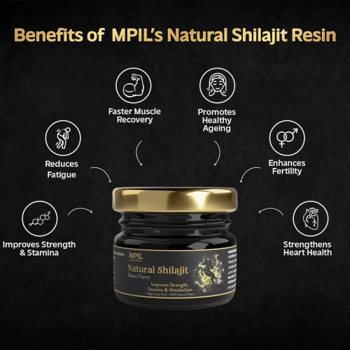 Mpil Natural Shilajit Resin Form (20g)