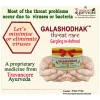 Travancore Ayurveda Galashodhak Powder (60g)