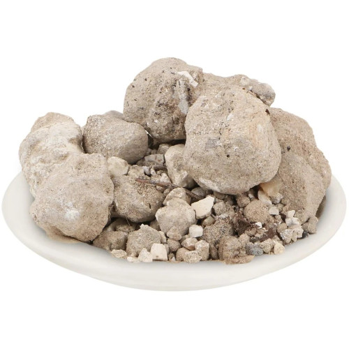 CareQue Banslochan Asli (50g)