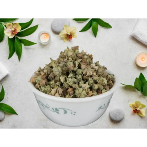 CareQue Small Gokhru (250g)